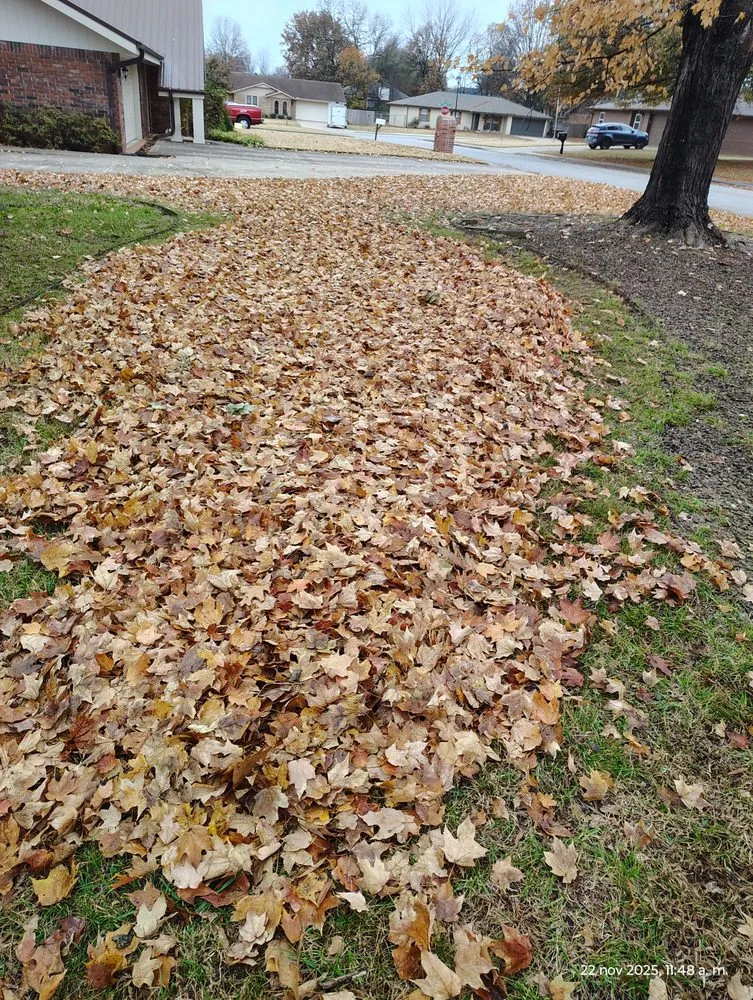 Trusted outdoor landscaping in Springdale, AR by Castillo Lawn Care