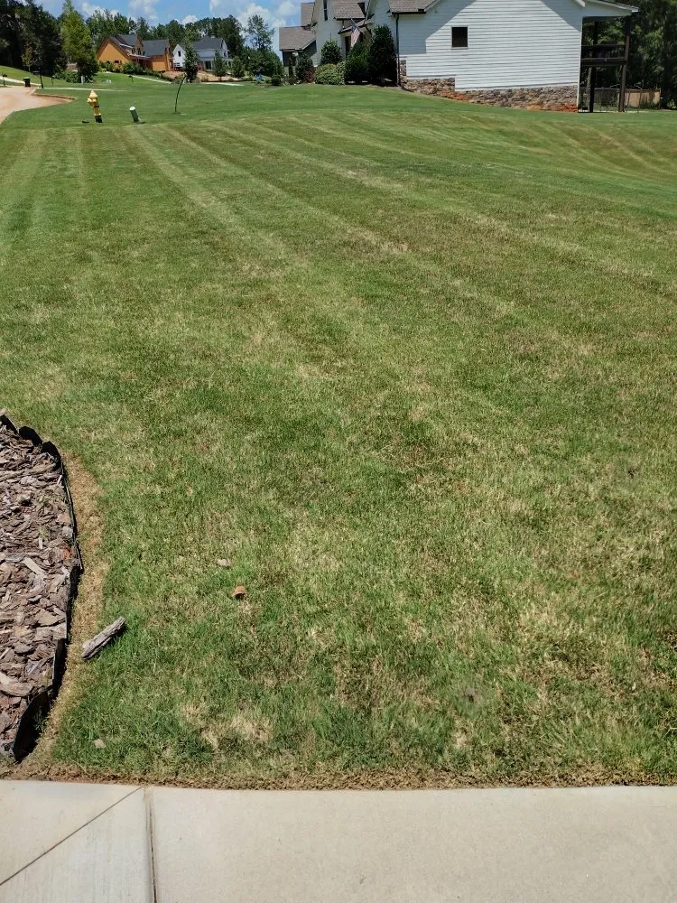 Reliable landscape installation in Covington, GA - Castillo Lawn Service