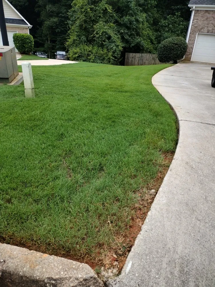Expert garden landscaping for residential properties across Covington, GA - Castillo Lawn Service