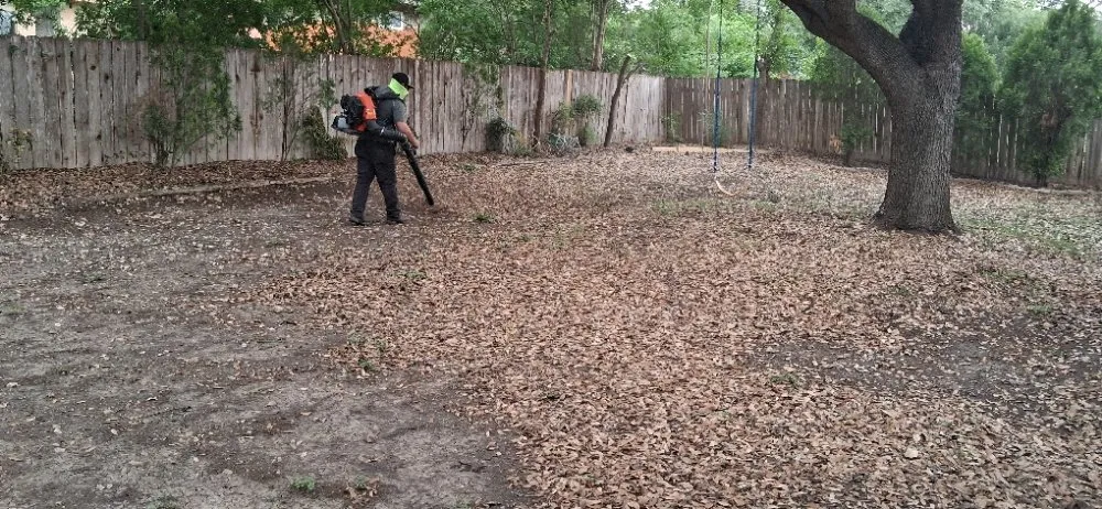 Top-rated lawn mowing service in San Antonio, TX - Castillo Lawn Services