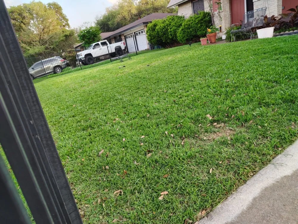 Top-rated residential landscaping experts serving San Antonio, TX - Castillo Lawn Services