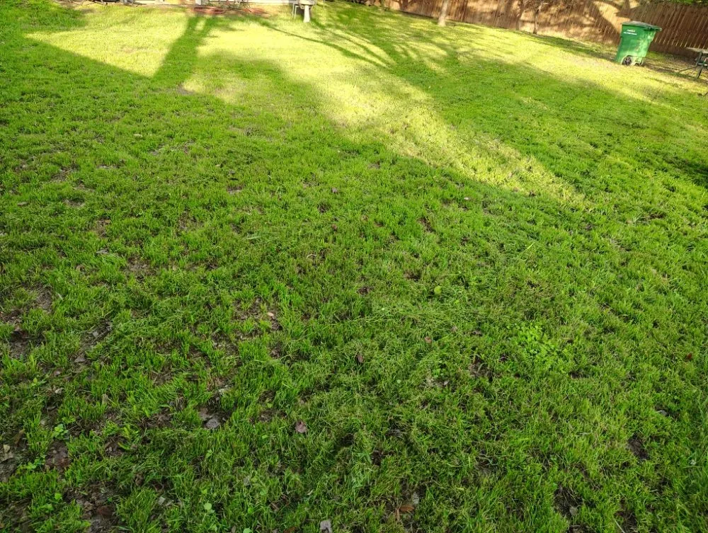 Affordable residential landscaping for residential properties in San Antonio, TX by Castillo Lawn Services