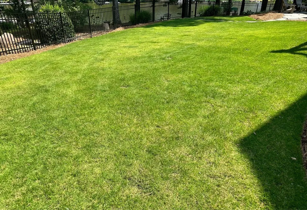 Affordable garden landscaping in Monroe, GA by Castillo Maintenance