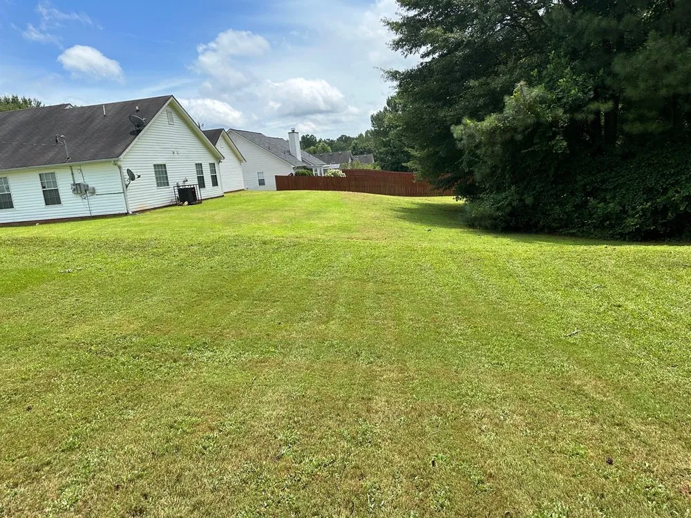 Expert landscaping services experts serving Monroe, GA - Castillo Maintenance