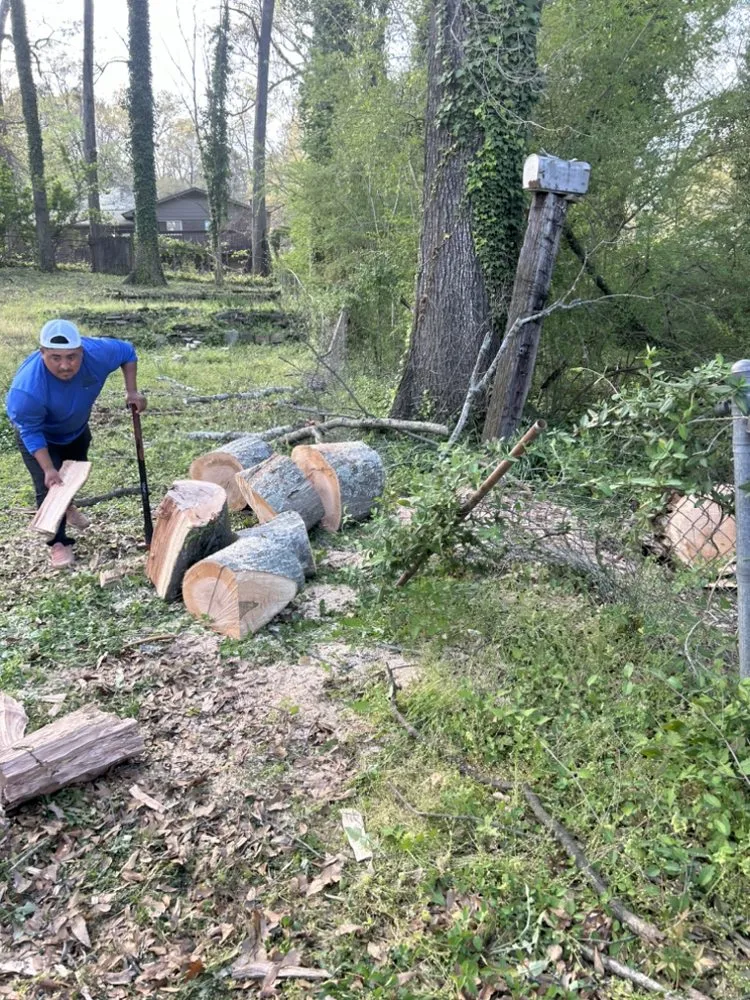 Top-rated garden landscaping in Vincent, AL - Castillo Overview Construction