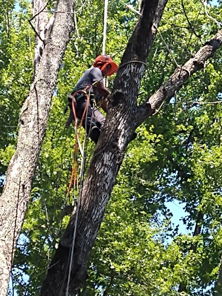 Expert garden landscaping in Newtown, CT - Castillo Tree & Lawn Service