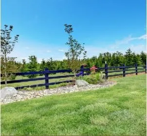 Trusted lawn care service in Sarasota, FL - Castillo Tree & Lawn Service