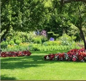 Affordable landscaping services in Sarasota, FL - Castillo Tree & Lawn Service