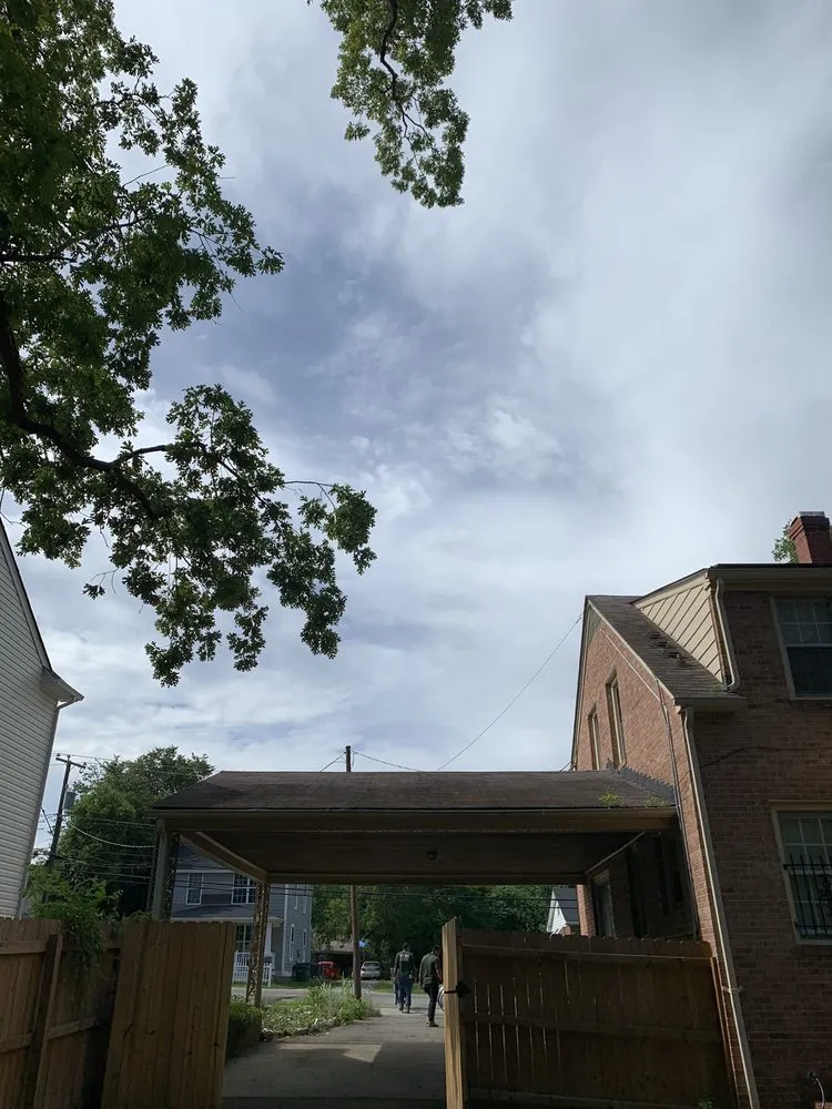 Professional yard cleanup service in Henrico, VA - Castillo Tree Services & Landscaping