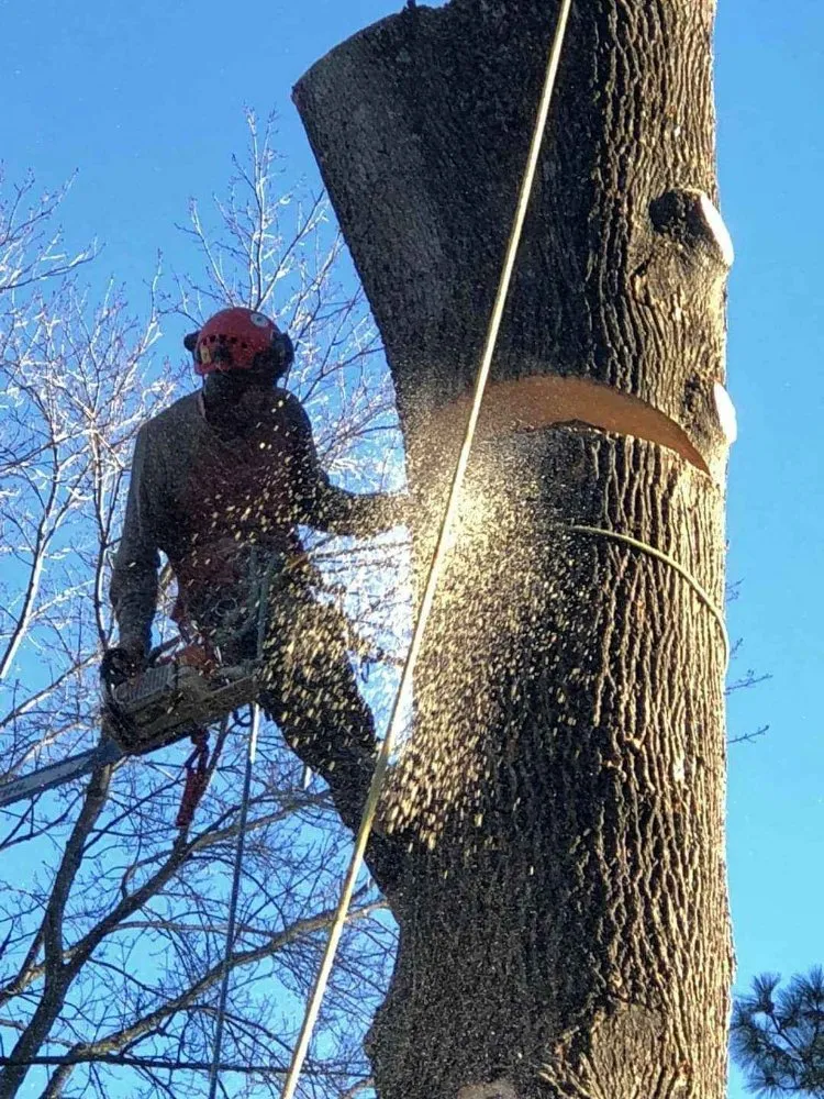 Custom landscape installation with custom design in Henrico, VA by Castillo Tree Services & Landscaping