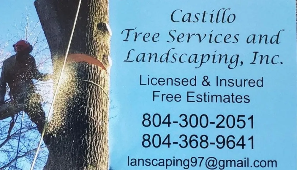 Expert landscaping services experts serving Henrico, VA - Castillo Tree Services & Landscaping