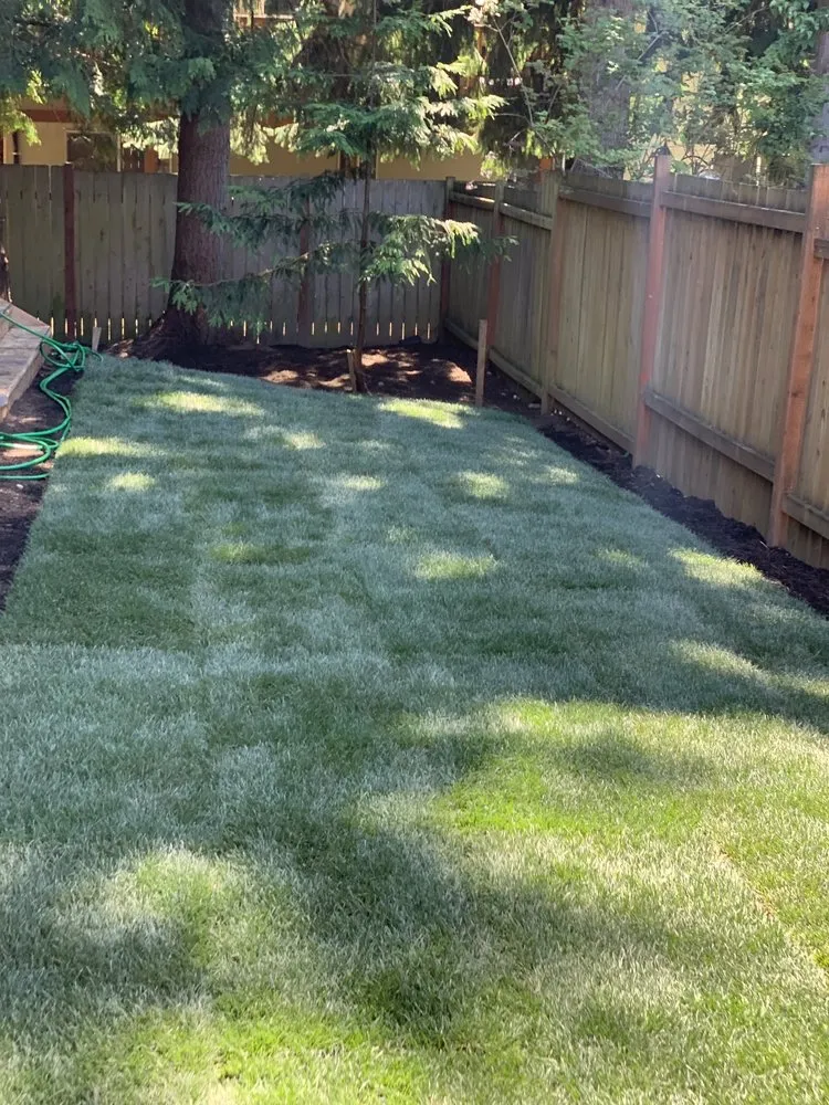 Top-rated lawn mowing service for year-round maintenance in Issaquah, WA by Castillos Landscape And Hardscape