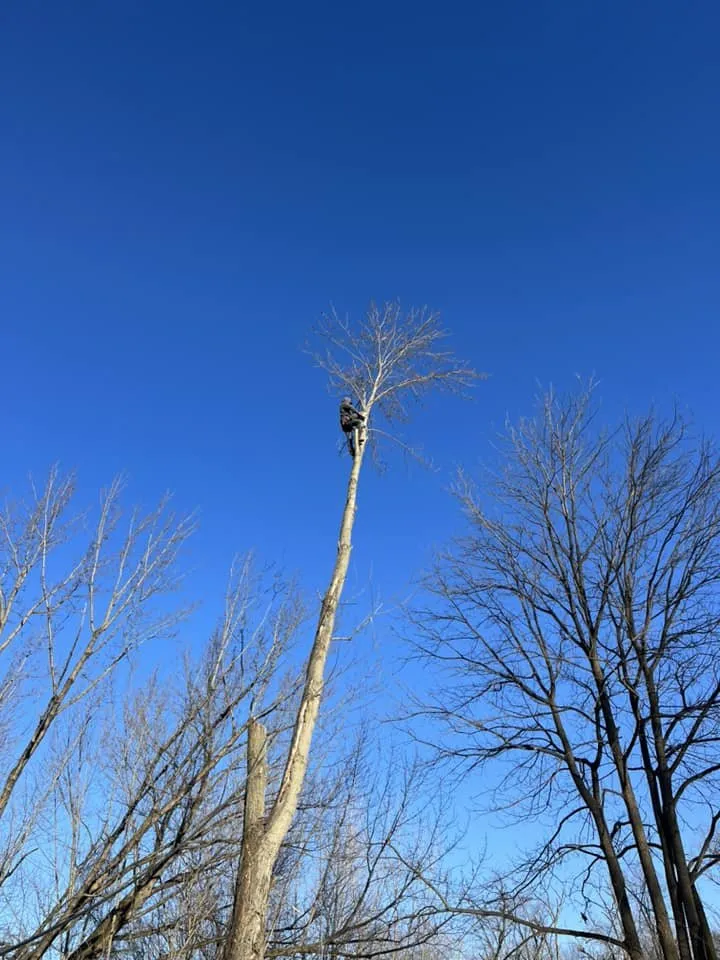 Reliable landscape installation for homes across Elkhart, IN - Castillo's Lawn Care & Landscaping