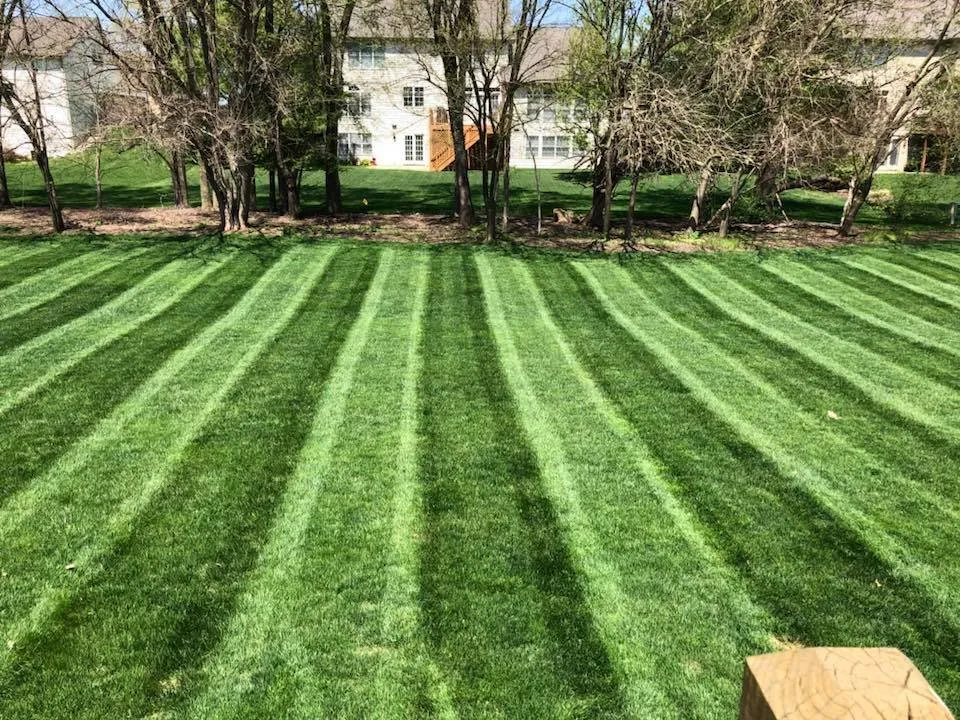 Top-rated yard maintenance for residential properties in Elkhart, IN by Castillo's Lawn Care & Landscaping