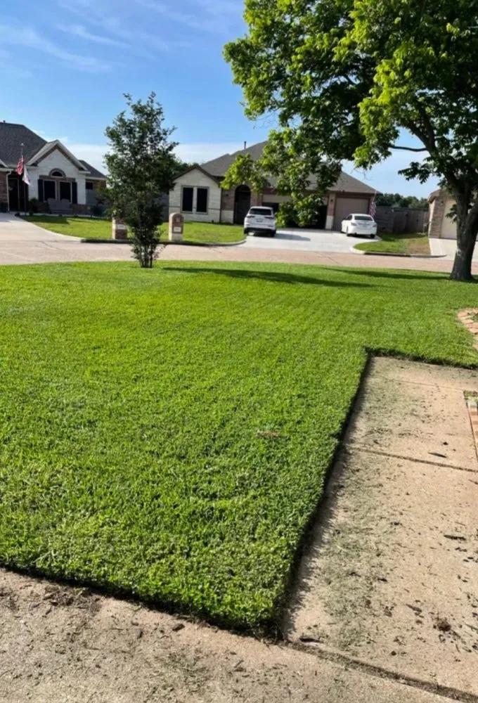 Trusted garden landscaping experts serving Houston, TX - Castillo's Lawn Care Service