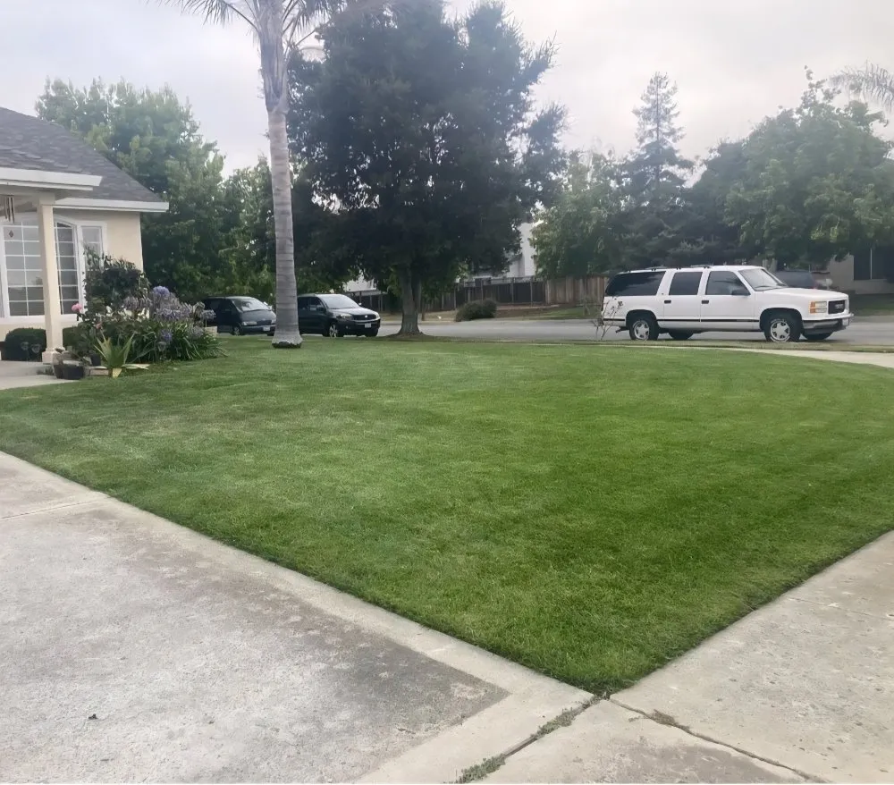 Expert garden landscaping in Houston, TX by Castillo's Lawn Care Service