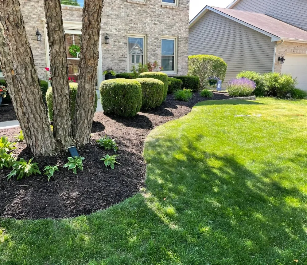 Expert lawn mowing service experts serving Houston, TX - Castillo's Lawn Care Service