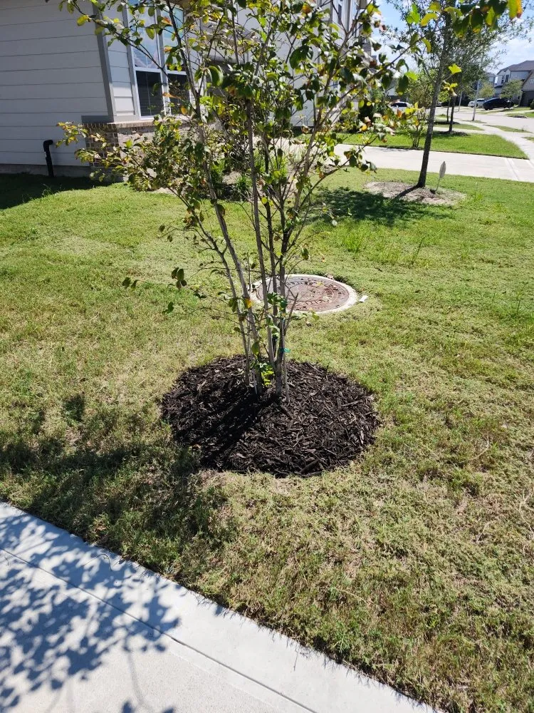 Trusted garden landscaping for year-round maintenance across Houston, TX - Castillo's Lawn Care Service