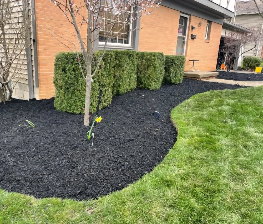 Custom landscape installation experts serving Houston, TX - Castillo's Lawn Care Service