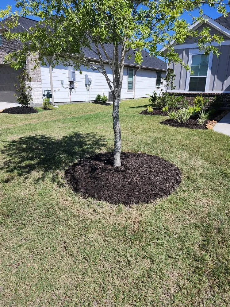 Affordable residential landscaping with custom design across Houston, TX - Castillo's Lawn Care Service
