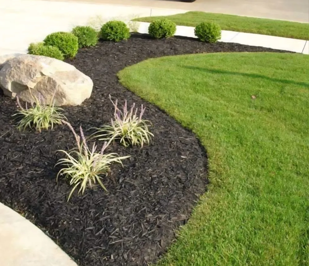 Affordable outdoor landscaping with custom design across Houston, TX - Castillo's Lawn Care Service