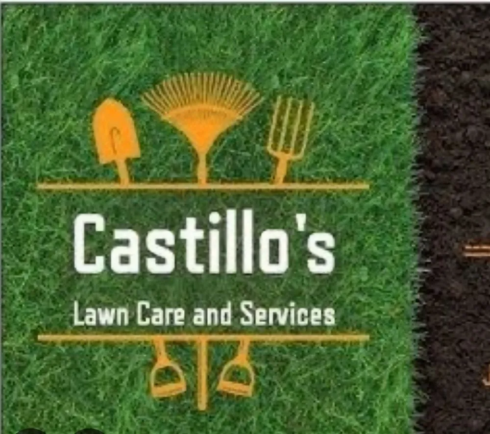 Professional yard cleanup service for year-round maintenance across Houston, TX - Castillo's Lawn Care Service