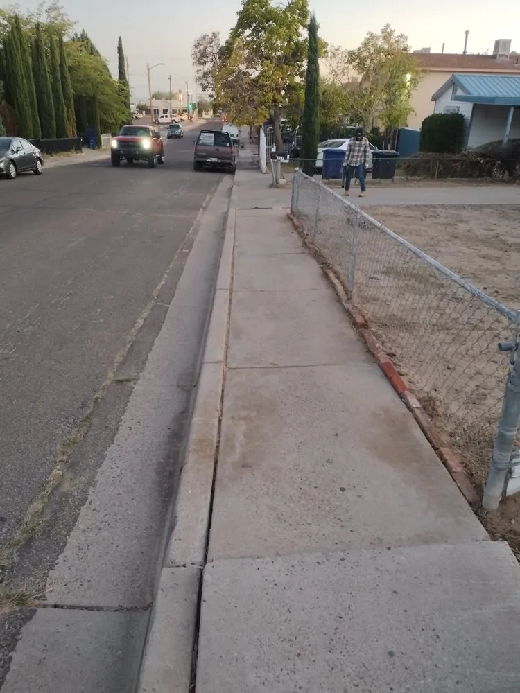 Custom yard cleanup service for year-round maintenance in Albuquerque, NM by Castillo's Removal