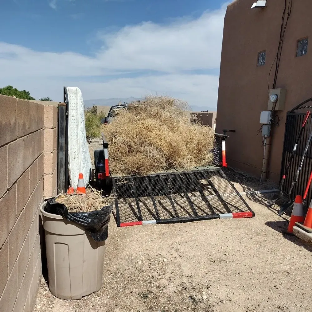 Custom residential landscaping experts serving Albuquerque, NM - Castillo's Removal