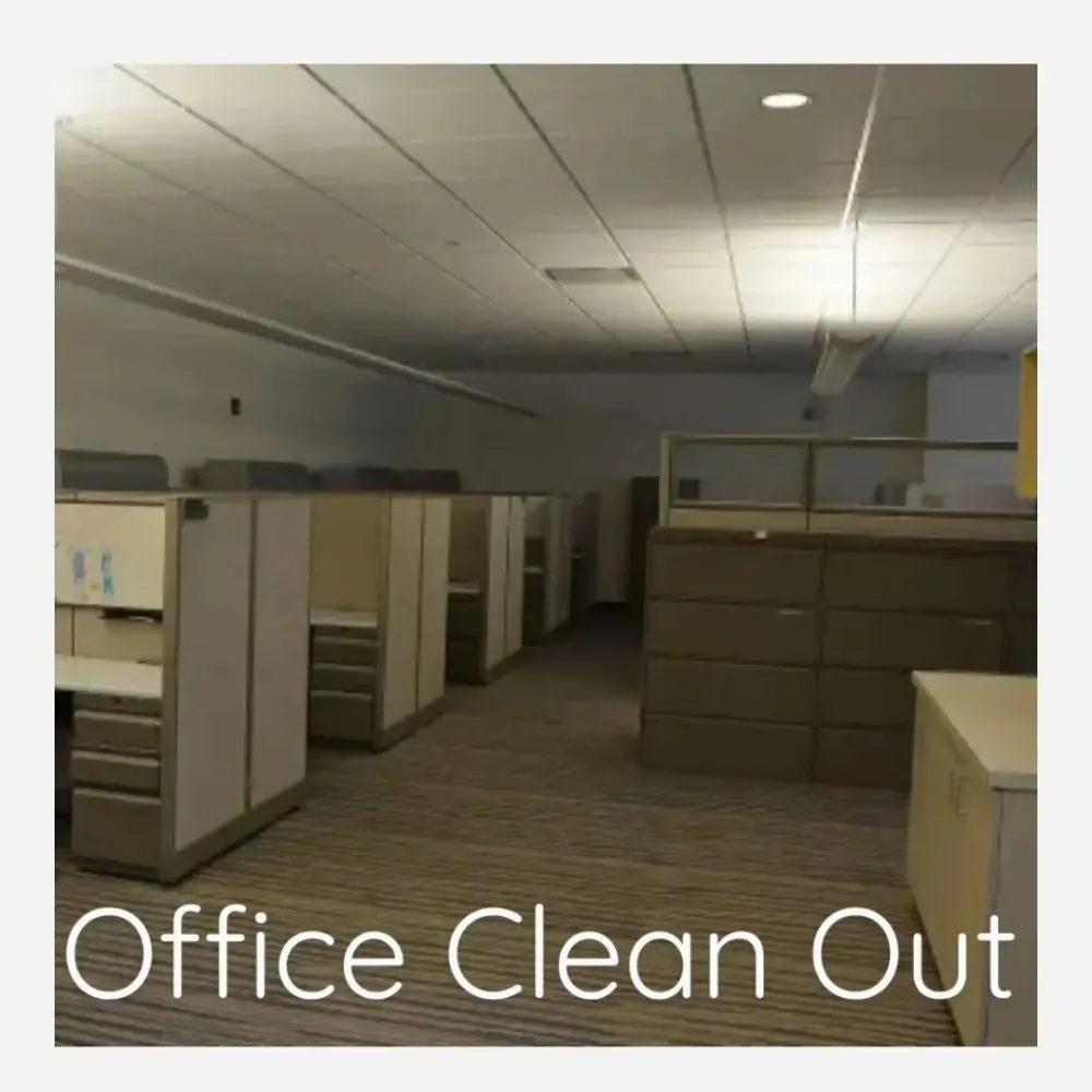 Reliable lawn care service in Albuquerque, NM by Castillo's Removal