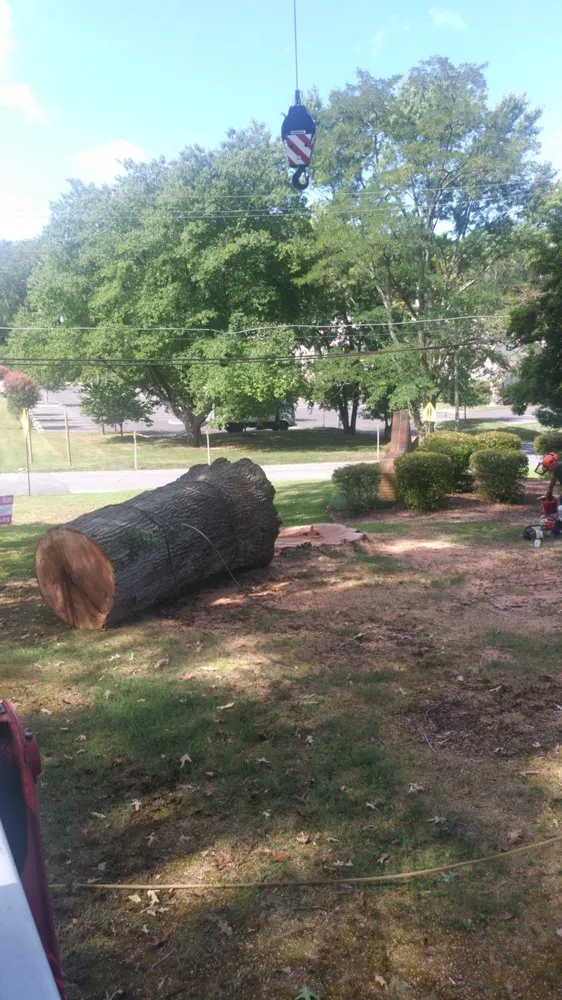 Professional lawn care service experts serving Edgewater, MD - Castillo's Tree Services