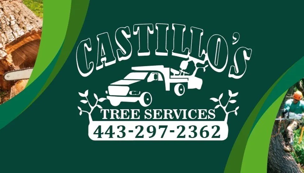 Expert landscaping services for homes in Edgewater, MD by Castillo's Tree Services