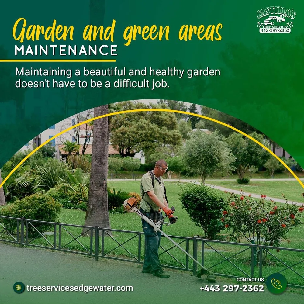 Custom yard cleanup service for beautiful yards across Edgewater, MD - Castillo's Tree Services