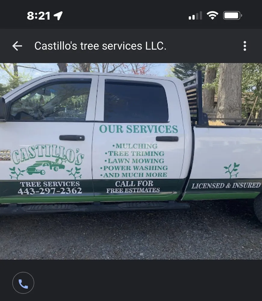 Professional landscaping services for homes in Edgewater, MD by Castillo's Tree Services