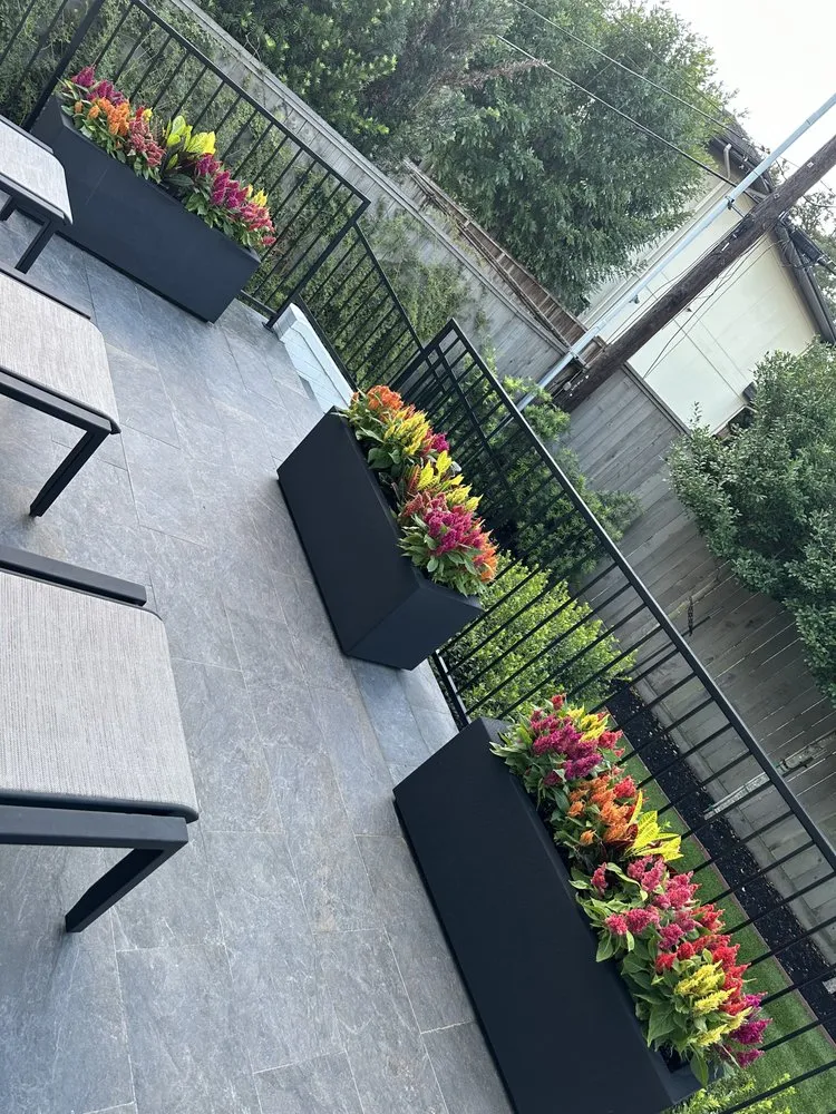 Professional landscape installation near you across Rosharon, TX - Castle Exterior Design