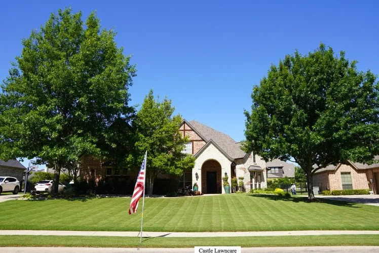 Custom landscaping services in Sanger, TX by Castle Lawncare & Landscaping