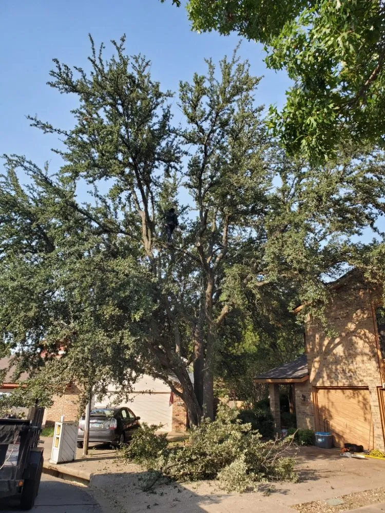 Expert yard maintenance with custom design across Euless, TX - Castle Lawns