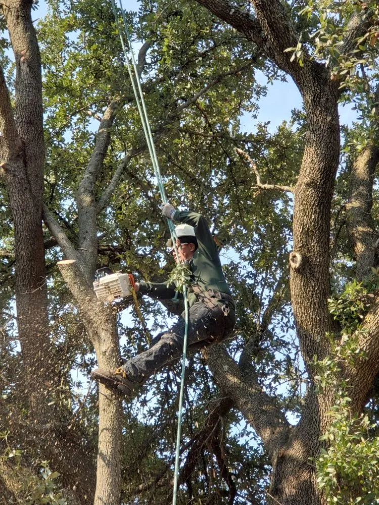 Affordable lawn mowing service experts serving Euless, TX - Castle Lawns