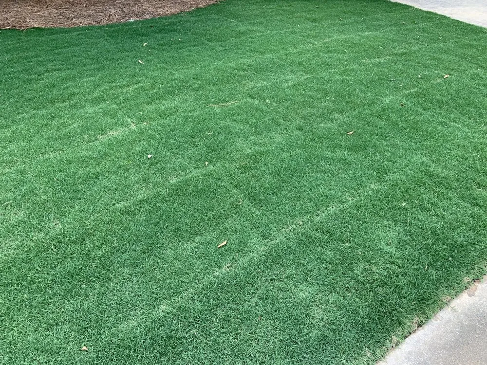 Expert outdoor landscaping in Dallas, GA - Castle Outdoor