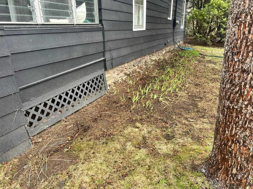 Top-rated outdoor landscaping for homes across Haines Falls, NY - Castle Property Maintenance