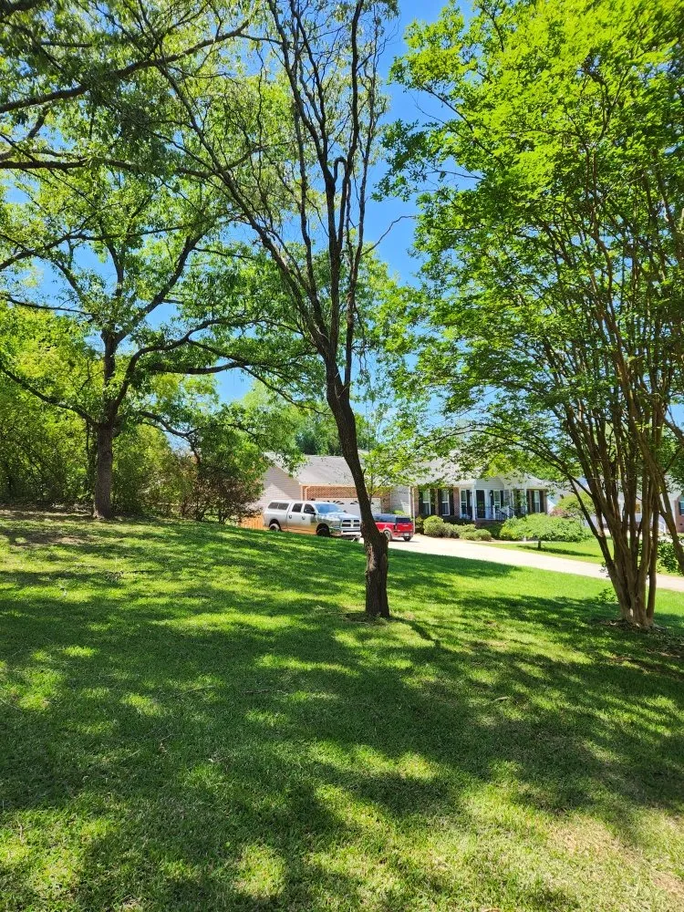 Affordable outdoor landscaping with custom design in York, SC by Castle's Lawn Care