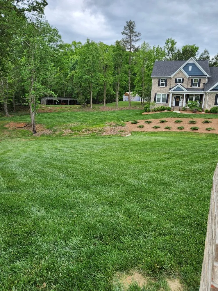 Professional yard cleanup service experts serving York, SC - Castle's Lawn Care