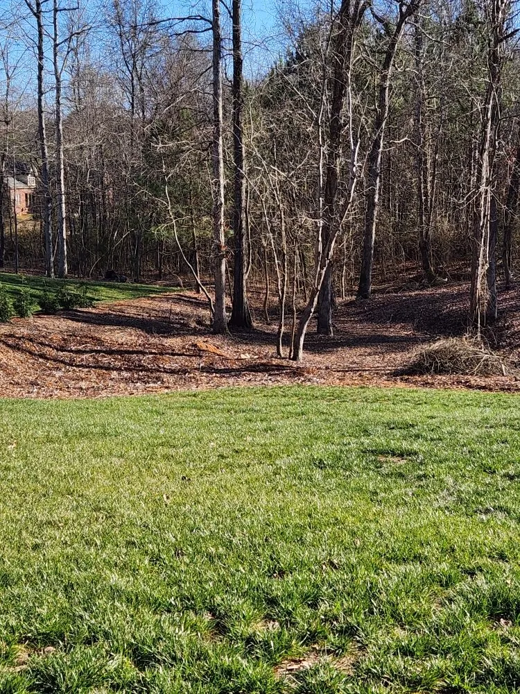 Local outdoor landscaping near you across York, SC - Castle's Lawn Care