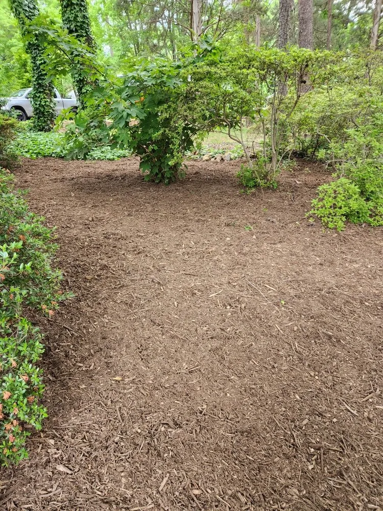 Reliable garden landscaping for year-round maintenance across York, SC - Castle's Lawn Care