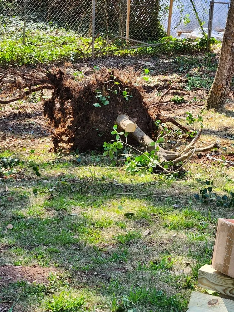 Custom landscaping services for homes in York, SC by Castle's Lawn Care