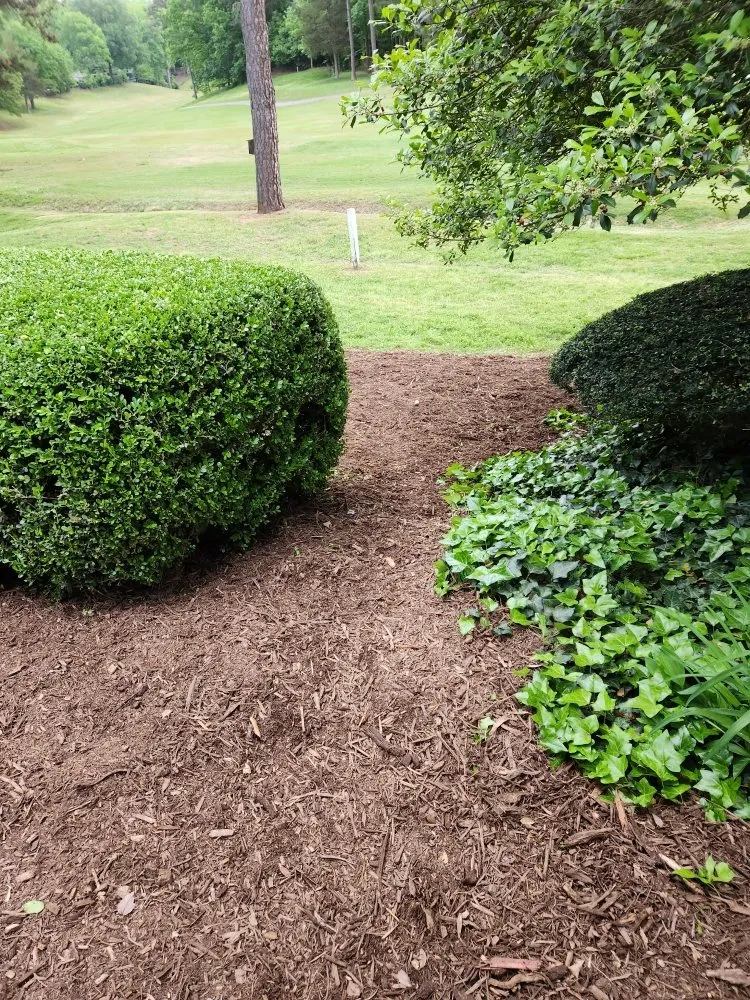 Professional landscape installation experts serving York, SC - Castle's Lawn Care
