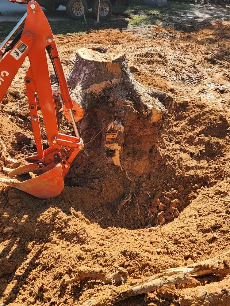 Trusted outdoor landscaping experts serving York, SC - Castle's Lawn Care