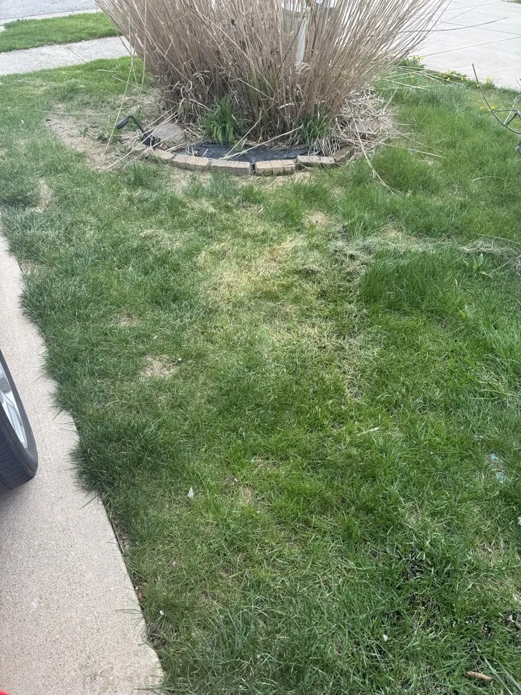 Local lawn care service for beautiful yards in Fishers, IN by Castleton Lawn Care