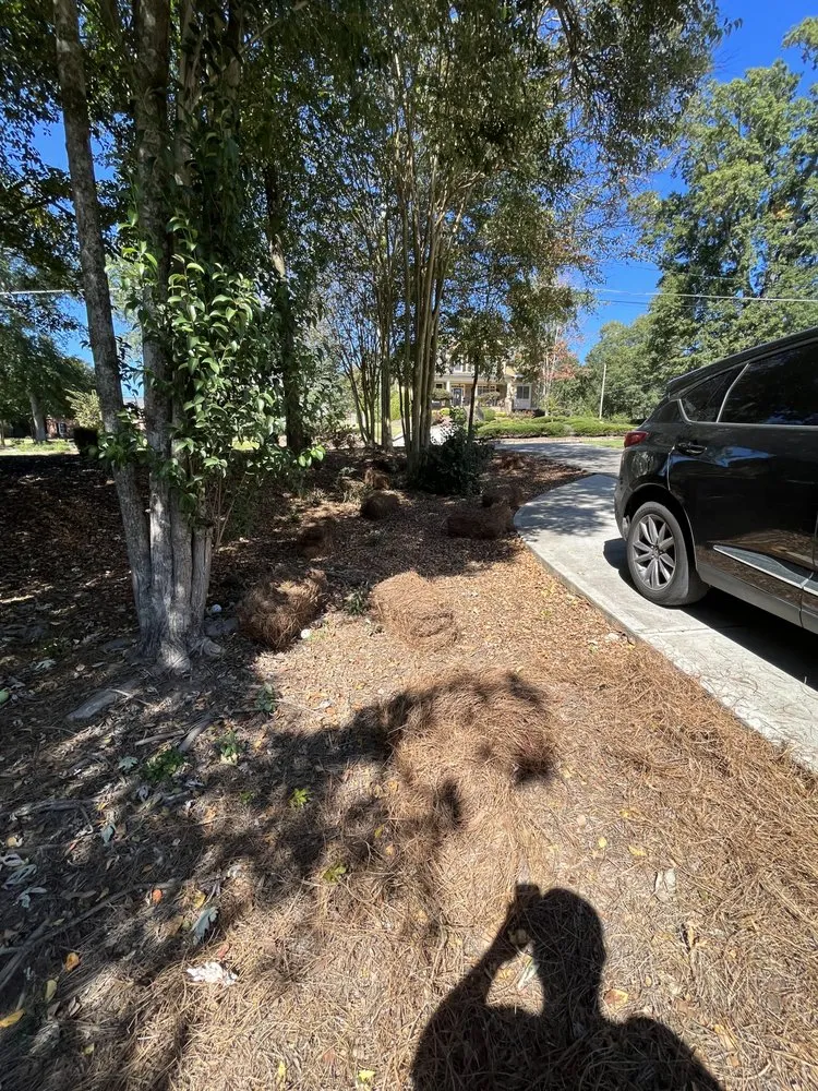 Professional yard cleanup service in Temple, GA - Casto Maintenance & Removal services