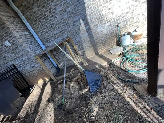 Casto Maintenance & Removal services