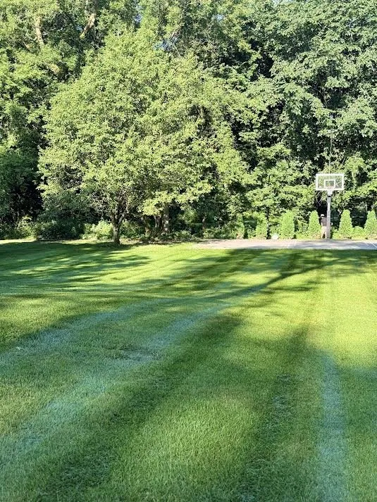 Trusted landscaping services in Saint Paul Park, MN - Castor Landscaping